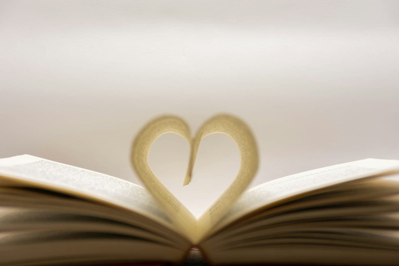 An open book with two facing pages curled into a heart, in soft warm light.